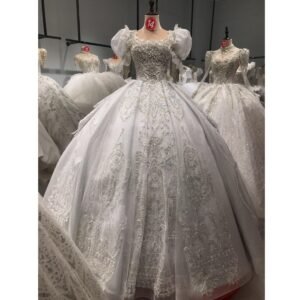 KissWhite Ltt Collection Gray Color Glitters Lace Long tail Wedding Dresses
